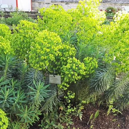 Apartment La Donzelle